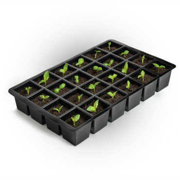 Growing Partnerships