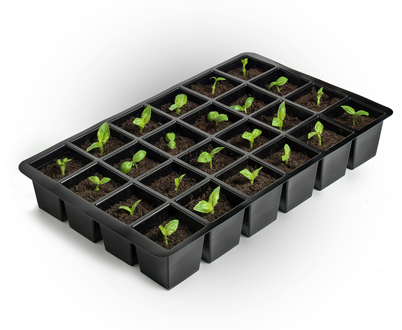 Growing Partnerships